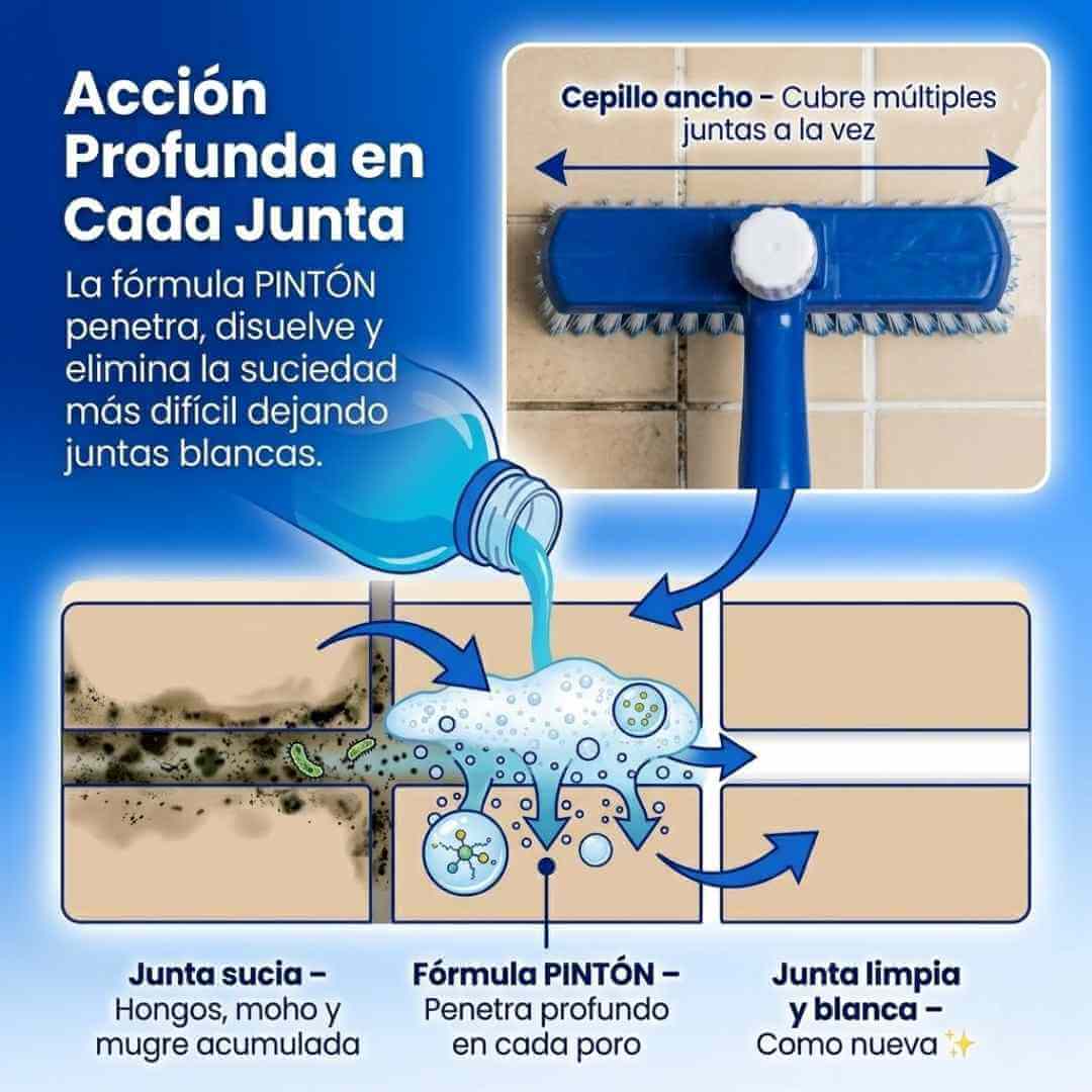 Limpia Juntas Cepillo — deja tus baldosas como nuevas en minutos sin restregar con fuerza + OBSEQUIOS
