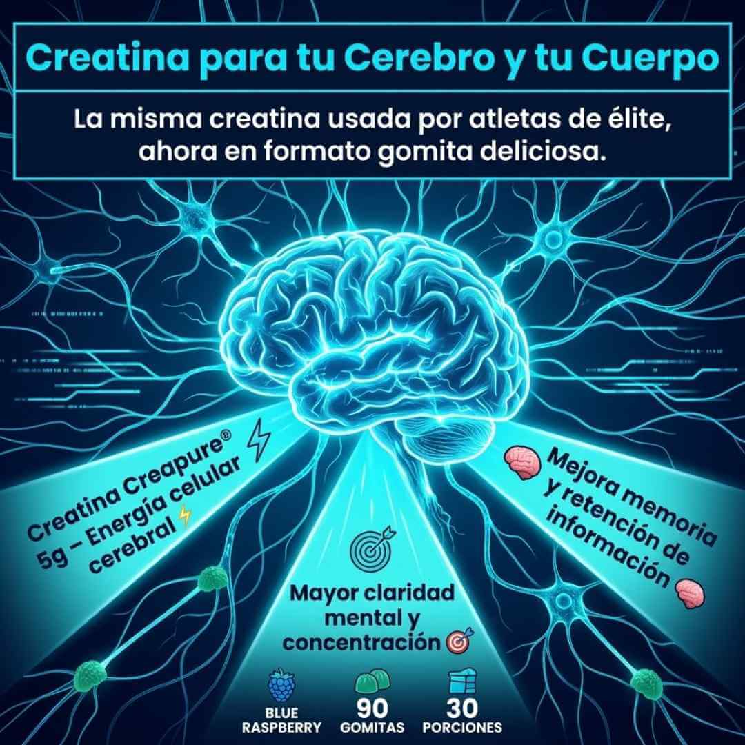 Encabezado