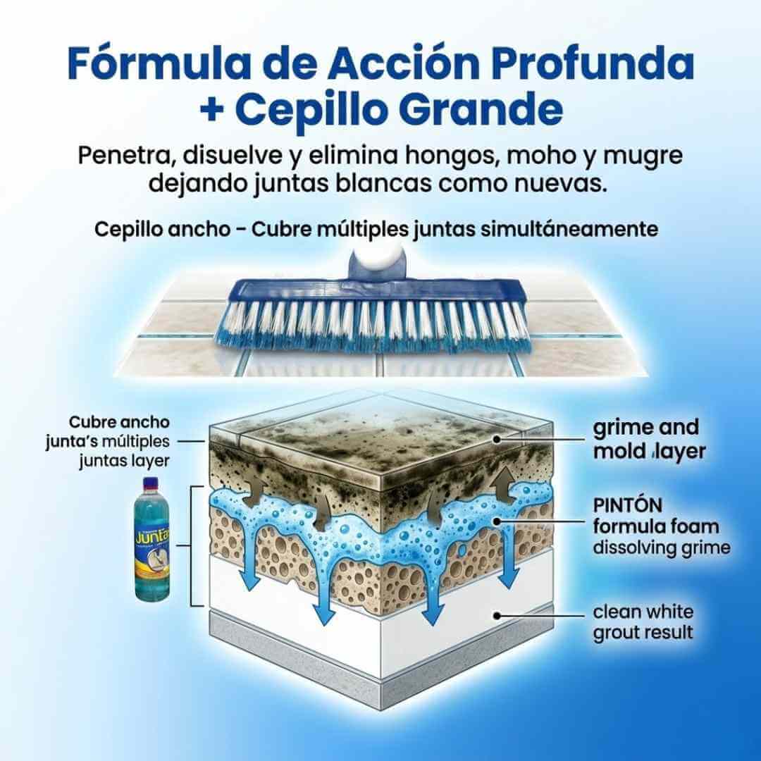Encabezado